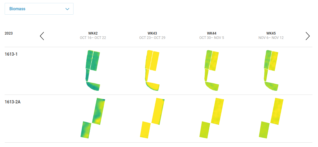 Field comparison spatial views